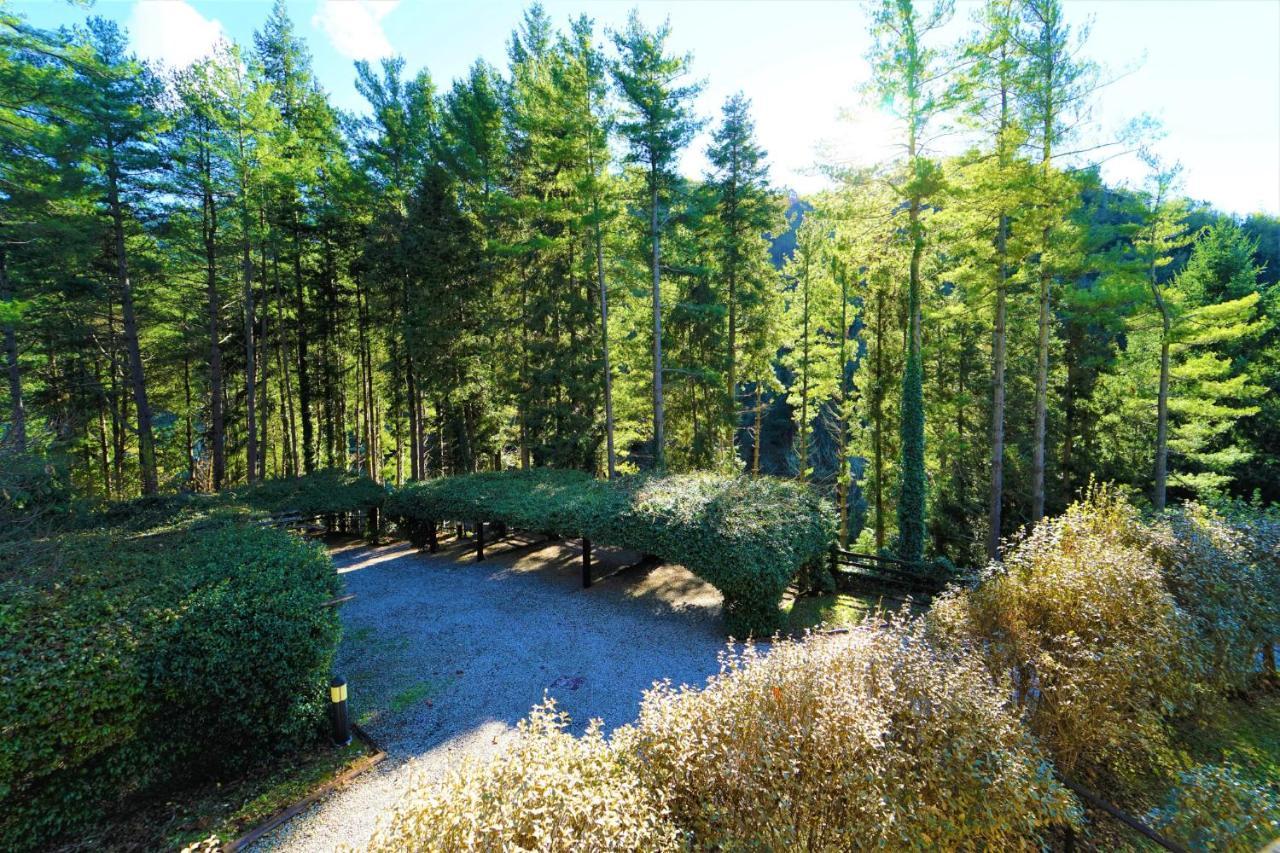 Апартаменты Il Bosco Di Campo Marzano Sunlight Борцонаска Экстерьер фото