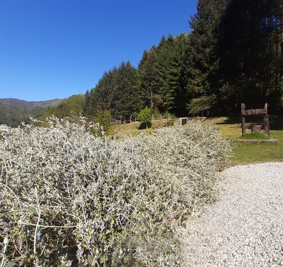 Апартаменты Il Bosco Di Campo Marzano Sunlight Борцонаска Экстерьер фото