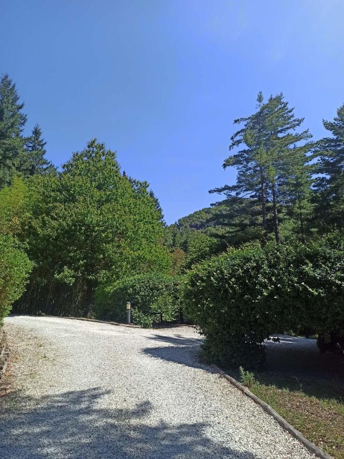 Апартаменты Il Bosco Di Campo Marzano Sunlight Борцонаска Экстерьер фото