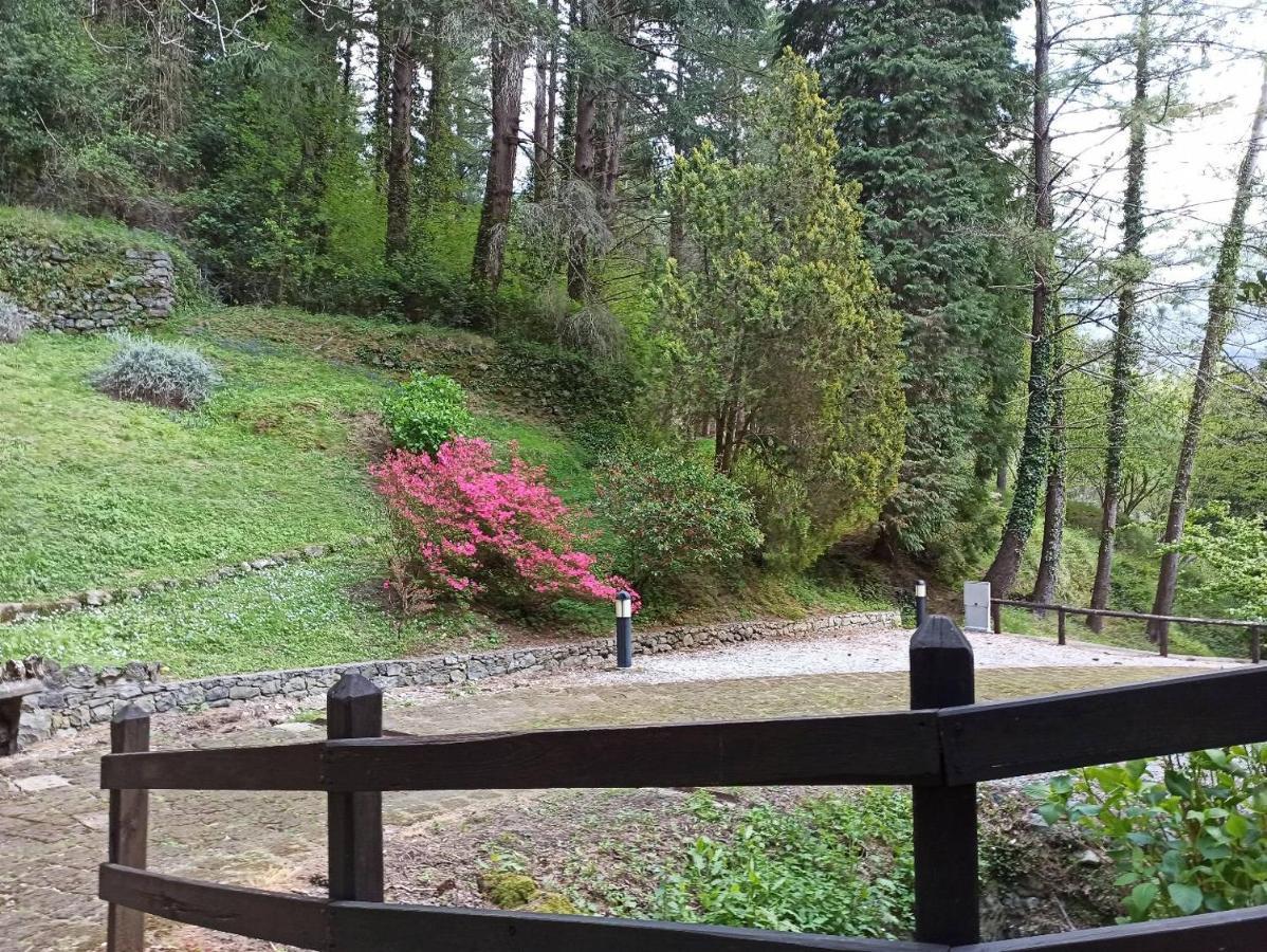 Апартаменты Il Bosco Di Campo Marzano Sunlight Борцонаска Экстерьер фото